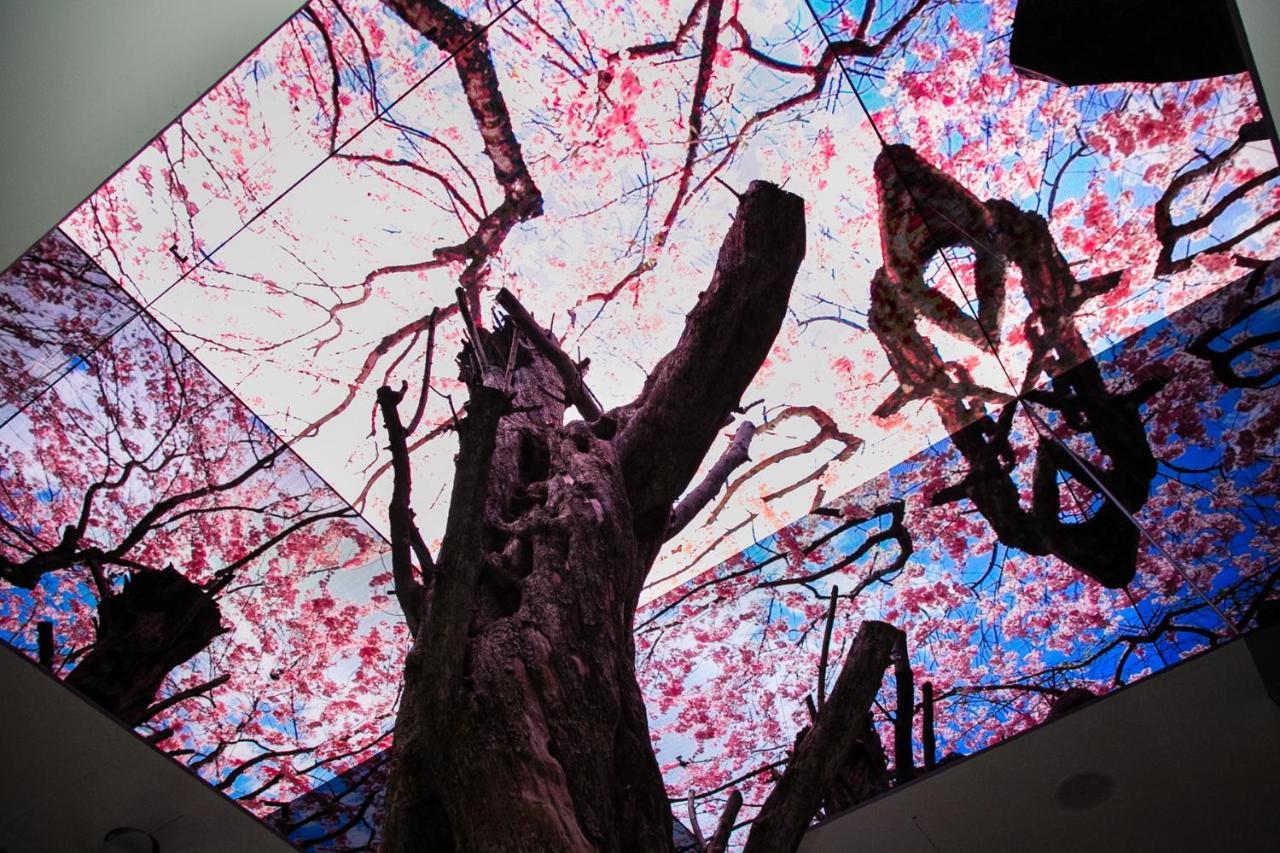 ホテル ビスタ ウォーカーヒル ソウル ソウル特別市 エクステリア 写真